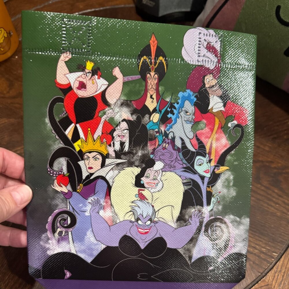 Disney Villains Small Reusable Bag NWT​